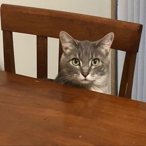 Meet your Posher, Brittany